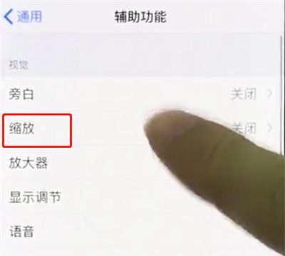 iphonex中使用缩放的操作步骤截图