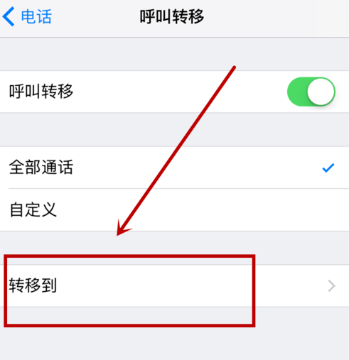 iphone设置呼叫转移的操作流程截图