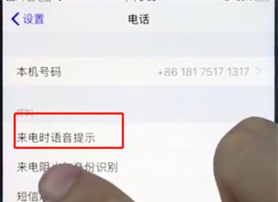 苹果8plus中打开来电语音提醒的简单方法截图