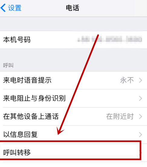 iphone设置呼叫转移的操作流程截图