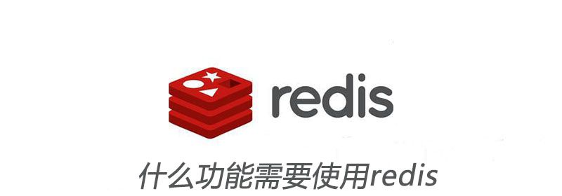 什么功能需要使用redis