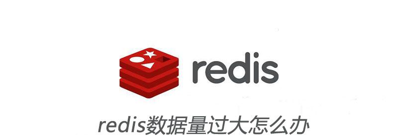 redis数据量过大怎么办