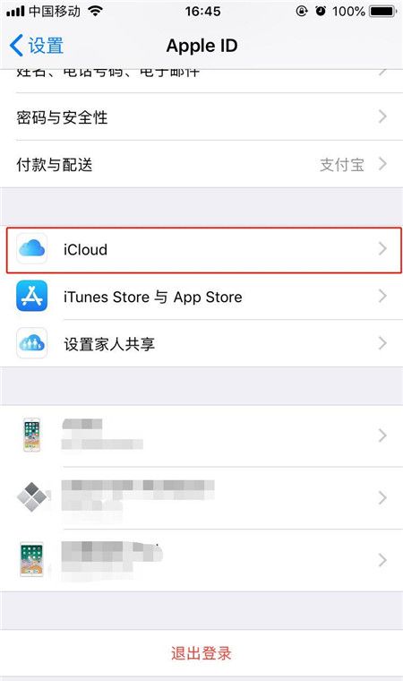 iphonexs购买内存的详细操作截图