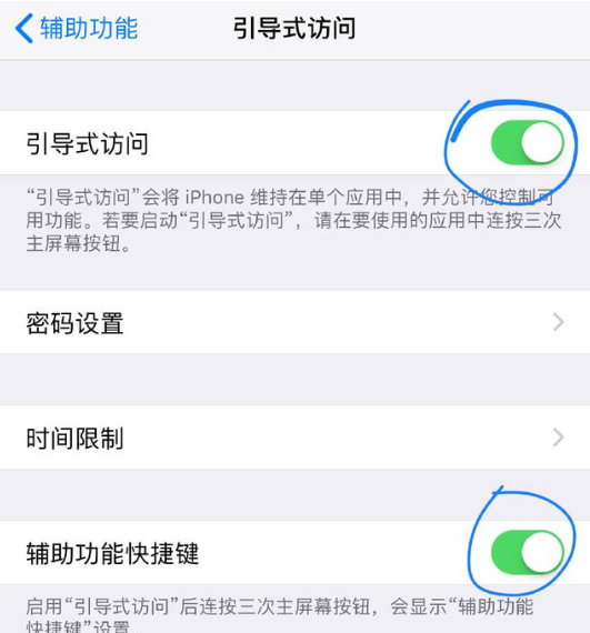 iPhone打开引导式访问功能的基础操作截图