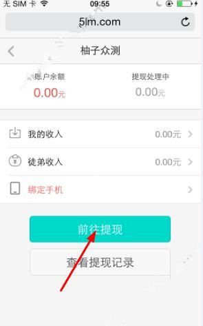 在柚子众测APP中进行提现的方法分享截图