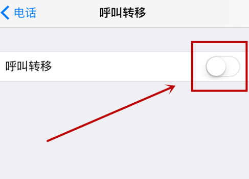 iphone设置呼叫转移的操作流程截图