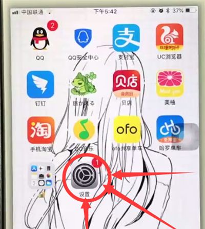 苹果6plus中使用缩放的操作步骤截图