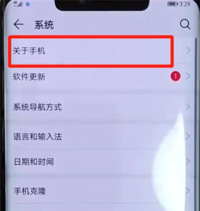 华为mate20pro中打开开发者选项的操作教程截图