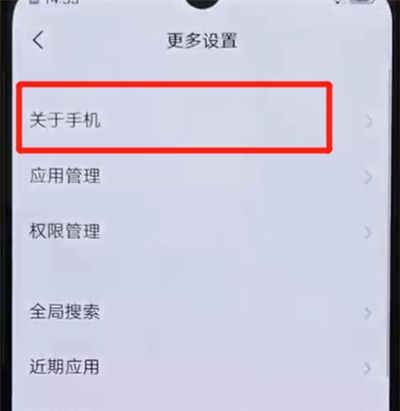 iqoo手机中打开开发者模式的简单操作方法截图