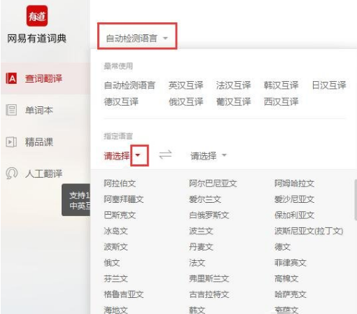 使用有道词典软件翻译句子的具体步骤截图
