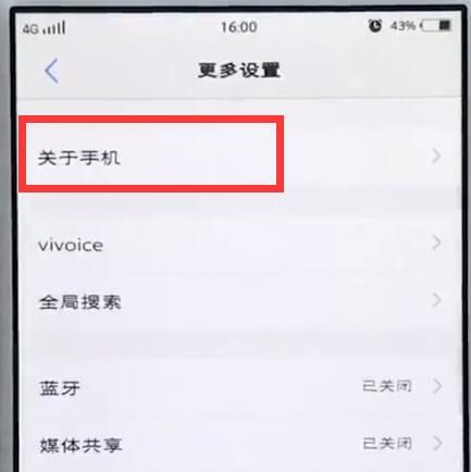 vivo手机中查看运行内存的详细方法截图