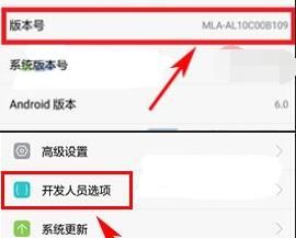 华为P30开启开发者选项的基础操作截图