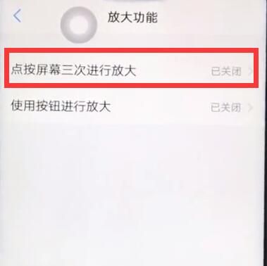 vivoz1开启放大手势基本讲述截图