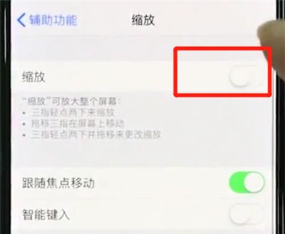 iphonexs中使用缩放的操作教程截图