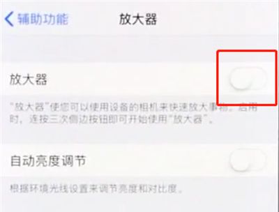 iphonex中使用放大器的操作步骤截图