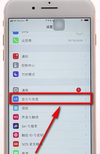 苹果手机调整字体的操作过程截图