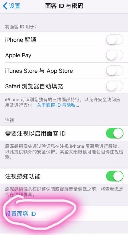 在iPhone xr中设置人脸识别的步骤介绍截图