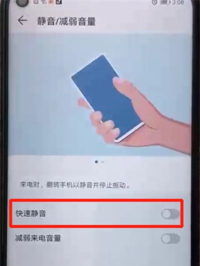 荣耀20pro中设置翻转静音的操作教程截图