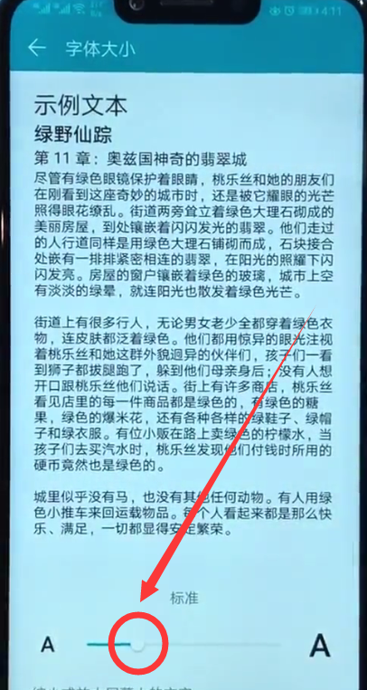 在荣耀10中设置字体大小的图文教程截图