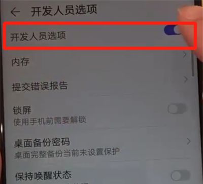 华为nova4将开发者选项打开的具体使用教程截图