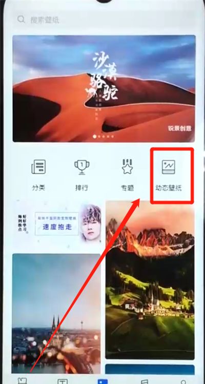 荣耀10青春版设置动态壁纸的操作教程截图