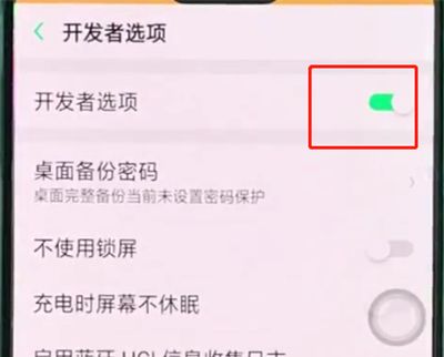 oppor15中开启开发者选项的详细步骤截图