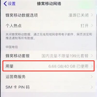 ios12中查询流量数据的详细步骤截图