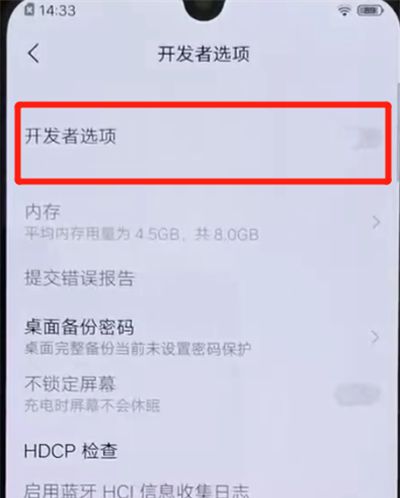 iqoo手机中打开开发者模式的简单操作方法截图