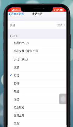 苹果xr设置铃声的操作流程截图