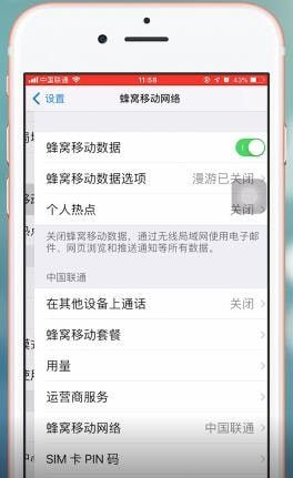 苹果ios12打开热点的操作过程截图