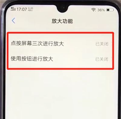 vivoz3打开放大功能的操作教程截图