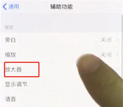 iphonex中使用放大器的操作步骤截图