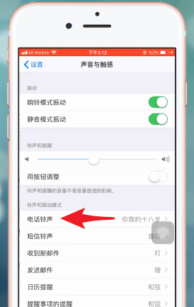 苹果手机设置铃声的具体操作截图