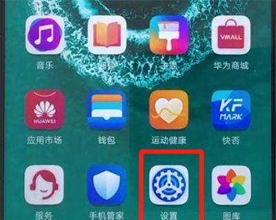 荣耀20pro中关闭自动亮度调节的具体操作教程截图