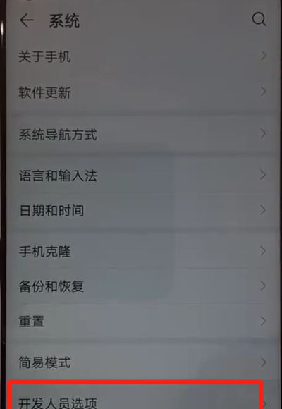 华为nova4中关闭开发人员选项的操作教程截图