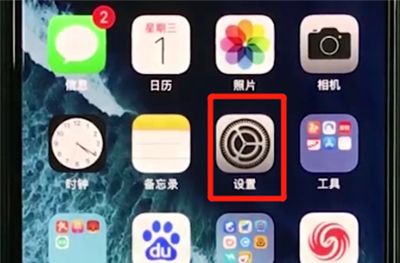 iphonexs中使用缩放的操作教程截图