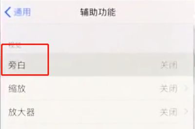 iphonex中关闭旁白的简单步骤截图
