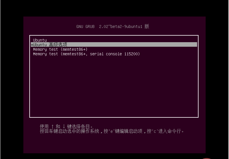 选择ubuntu高级选项，按 e 键