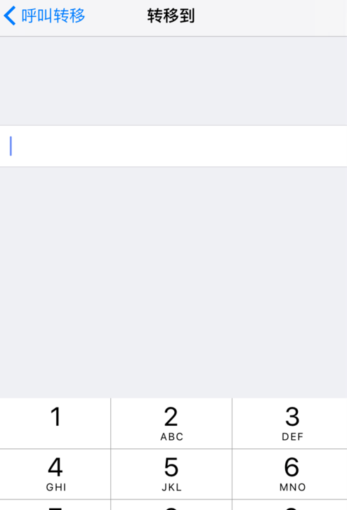iphone设置呼叫转移的操作流程截图