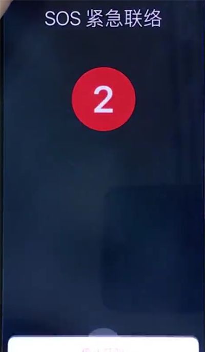 iphonex中打开SOS紧急联络的操作步骤截图