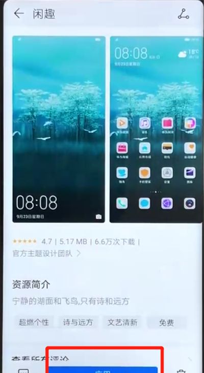 荣耀v20更换主题的操作教程截图