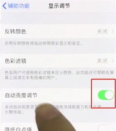 iphonex中关闭亮度调节的操作步骤截图