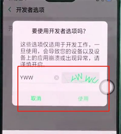 oppor15中开启开发者选项的详细步骤截图