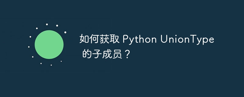 如何获取 Python UnionType 的子成员？