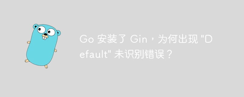 Go 安装了 Gin，为何出现 \&quot;Default\&quot; 未识别错误？