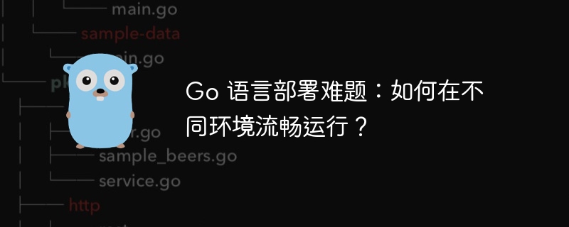 Go 语言部署难题：如何在不同环境流畅运行？