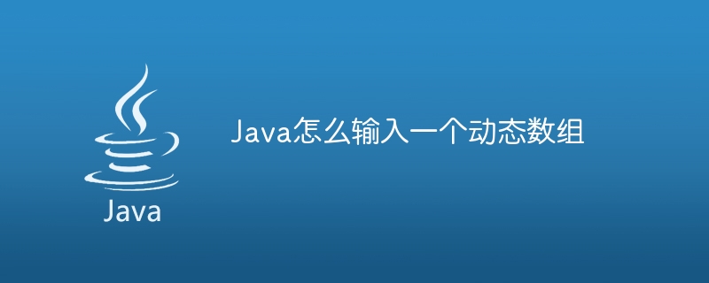 Java怎么输入一个动态数组