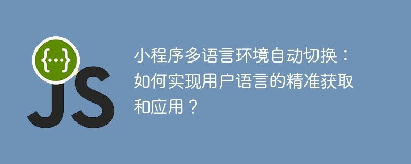 小程序多语言环境自动切换：如何实现用户语言的精准获取和应用？