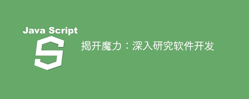 揭开魔力：深入研究软件开发