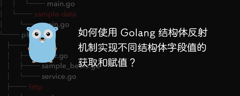 如何使用 Golang 结构体反射机制实现不同结构体字段值的获取和赋值？